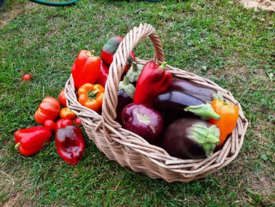 ������� ��������� ����������� ����������: 10 ������� �� ���������� �������