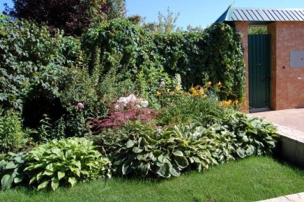 ������������ ���� ���������� ����������� ������� � ������