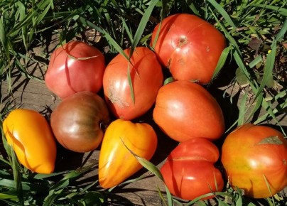 ������, ������� ��������� ������: ������ ����� �������� ������