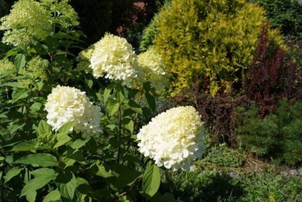 ������� ���������� � ������� �������: �������� � �����