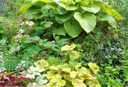 25 ������� ��������, ������� ����� �� �������� �����