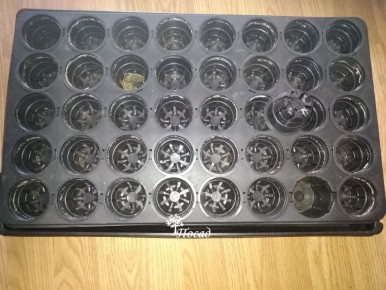 ������ ����� ���������� �� ������� ������ ��� �������: ���� ����������� ��������