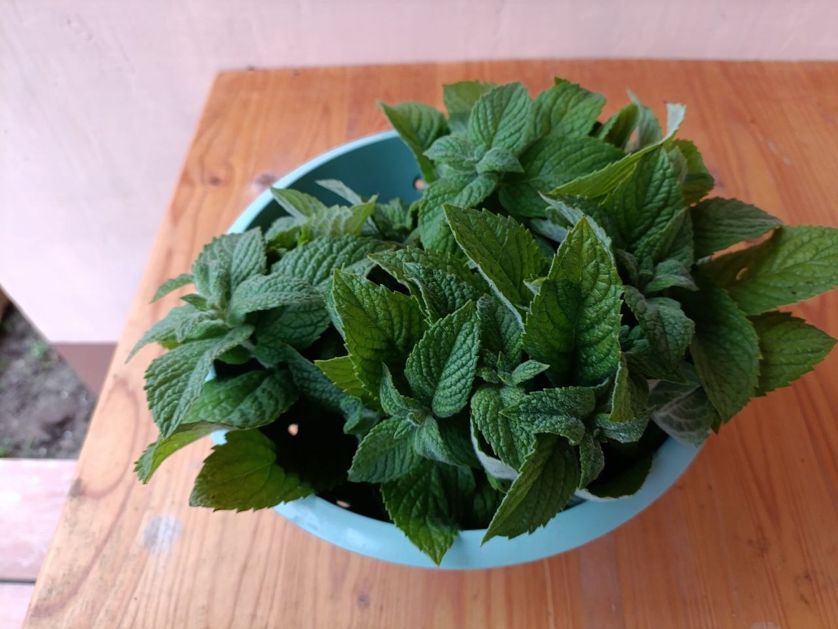 Как оладушки и мята делают вечер незабываемым