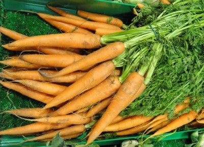 ������� ��������� ����������� �������, ������� ����� ����� ������� ��������