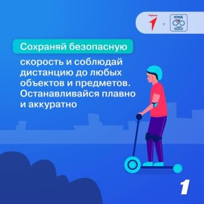 Двигайтесь безопасно: правила для владельцев