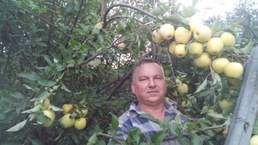 ��� ��������, ���� ������� ������ �� �����? ��������� ���� �� ������-�����