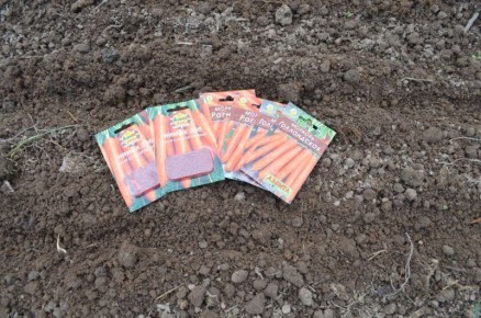 ������������ ������ ������� �������: �� ������ �� �����