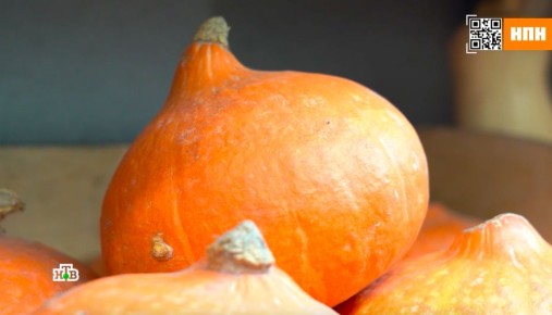 ��� ������� � ������ ����������� �����: ������ �� �����