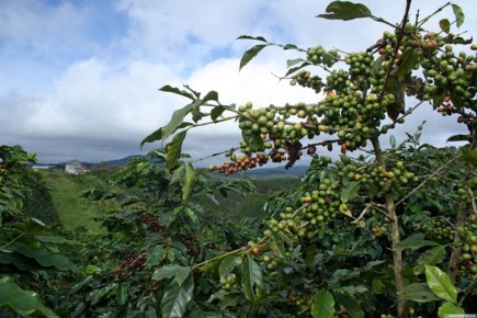 ���� �������� ���� � ��������� ��������� �� $100