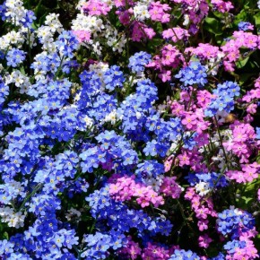 ���������: ��� ��������� ������� ���� � ����� ����