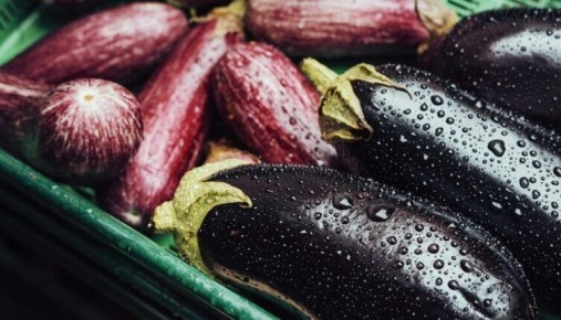 ���������: ��� ������� ��������� ���������� �������