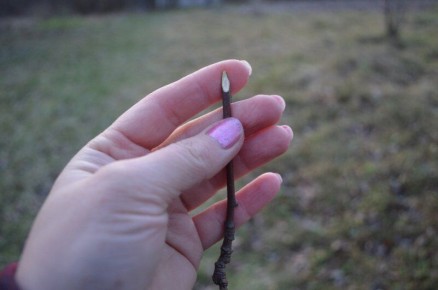 ��������� �������� �������� �������� � ������� �����������: ������� ��������