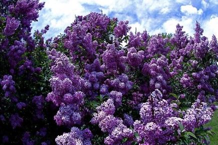 ������ ������ �� ������: 6 �������� ������ � ������� ������