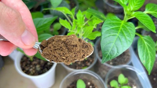 ��� ��������� ������� ���� ����� ������ ���� ������� �� 5 ����