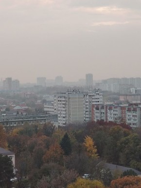 Туманные дни и авокадо на кухне