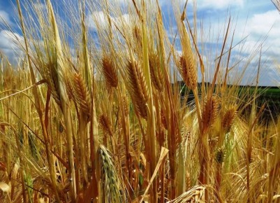 ��� �������������� ������������ ����� �������� ������� ��������� ���