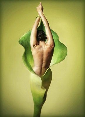 ������� ����������: ��� ��������� ��������� ���� � ����