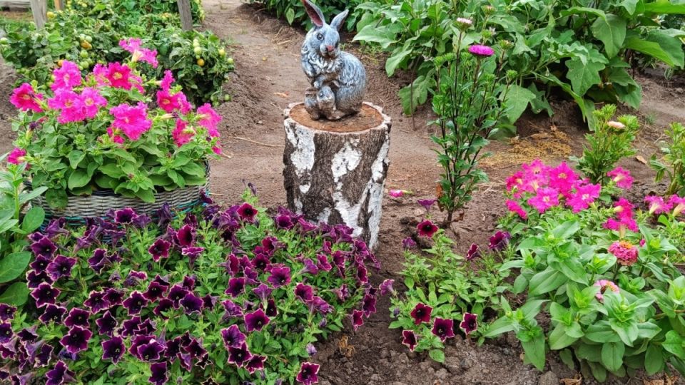 ��� ���������� ���������� ������� � ������� �����: ������� ���� ��� ���������������� ������������