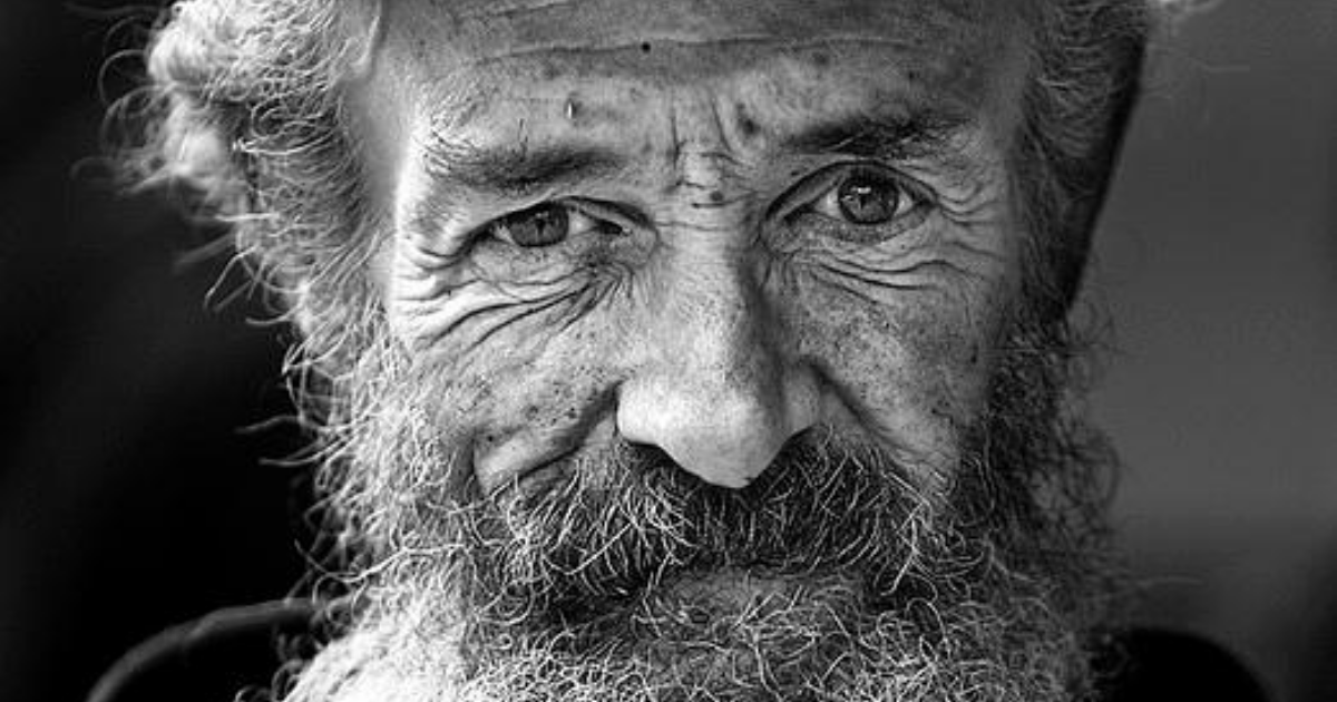 Секреты жизни: четыре мудрости, которые помогут вам понять мир