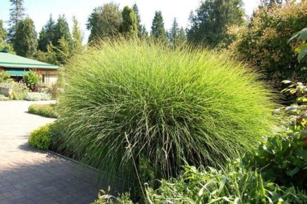 ������������ �����: ��� ������� ��������� ���������� � ����