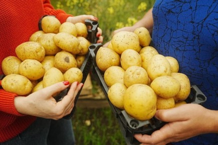 ��� ��������� ���������: �������, ������� ��������� ������ ������