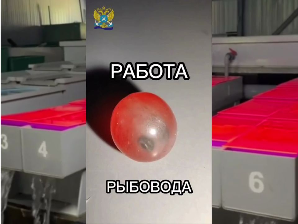 ��� �� ������� ��������� ������: ���������� ������ �� ������ ��������������