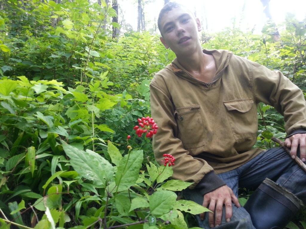 Как женьшень помогает восстановить здоровье после осеннего призыва?