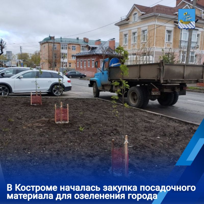 В Костроме ведется подготовка к весеннему озеленению городских территорий