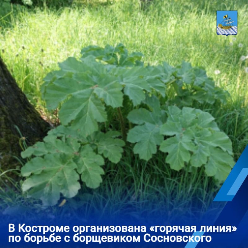 � �������� ������������ �������� ������ �� ������ � ���������� �����������