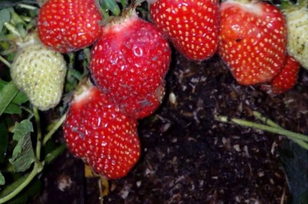 ���� �� ���������: ������� ��������� ����� ������ � ����