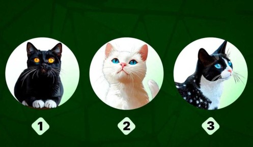 � ������������� ��� ������������