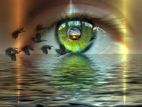 Признаки жизни не по своим правилам