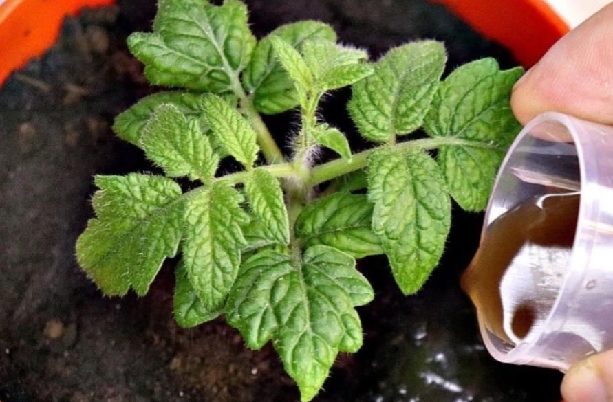 ����������� ������� �������: ������� ������ �� ���������� �� �������