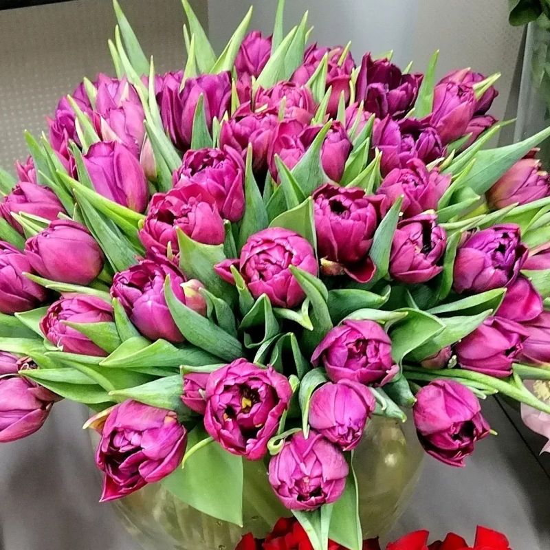 Сестры на связи: как родственные узы согревают сердца