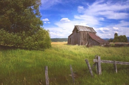 ��� ���������� ����������� ���: ������� ���������������� ��������