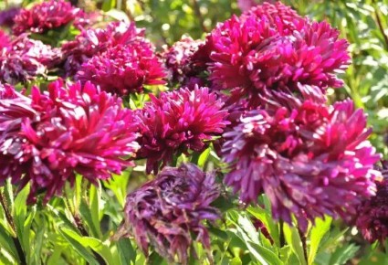 ����� �� ����: ����� ����� ���������� �� ������� � ������