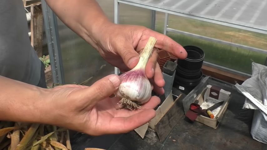 ��� ��������� ������ ������ � ������������ ���������: ������� ��������� ������