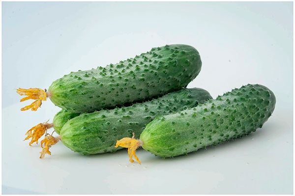 ������ ������: ��������� ����� ��� ������ ����