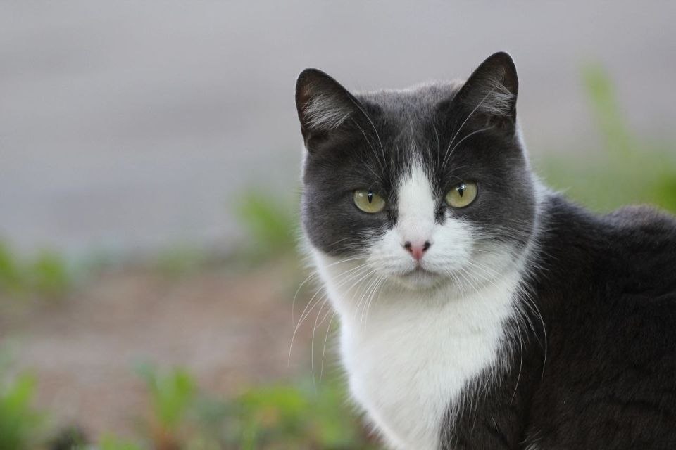 ���������� ������ � �������� �������� � �����