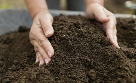 ������� ���������� �����: ��� �������� �������� ��������� ������� �������