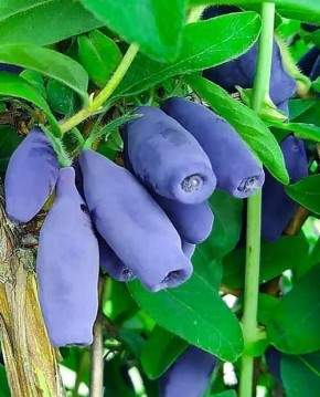 ��������� � ����� ����: 16 ������ ������ ��� �����