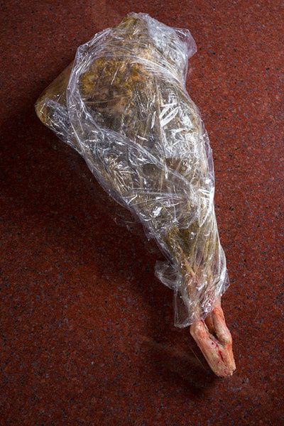 ��� ������ ������� ����: �������� � ���������� ���������