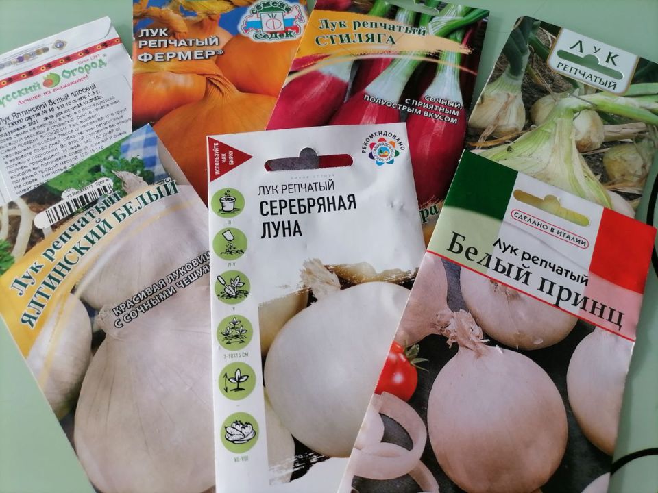 ������� ��������� ����������� ��������� ���� � �����: ���� ���������