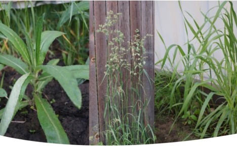 ��� �������� ����� � ����: �� ������� ��������