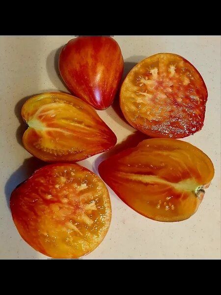 ����� �������� �� ������: ��� ��������� ������� � �������� ����� � �������