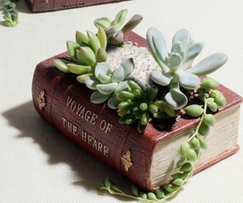 Необычные идеи для удивительных вазонов