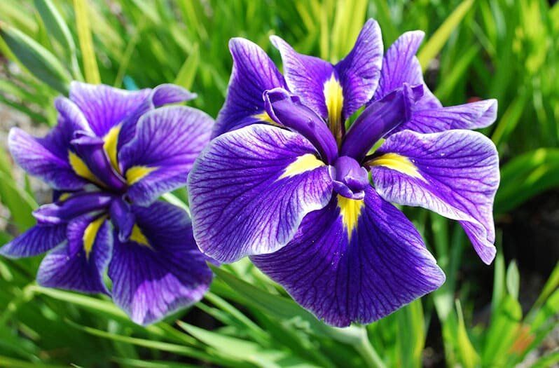 ����� � ����� ����: ��� ������� ���������� ��� ��� ���������� ��������