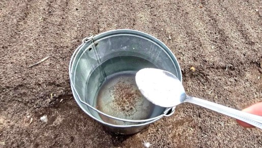 ��� �������� ����� �� ������� �����: ������������� ������ � �������