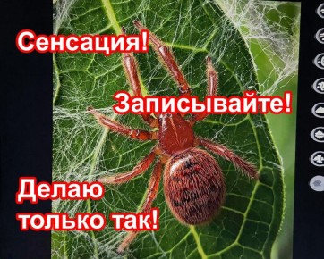 ��� ������� ���� ���������������� � ���������: ������ � �������