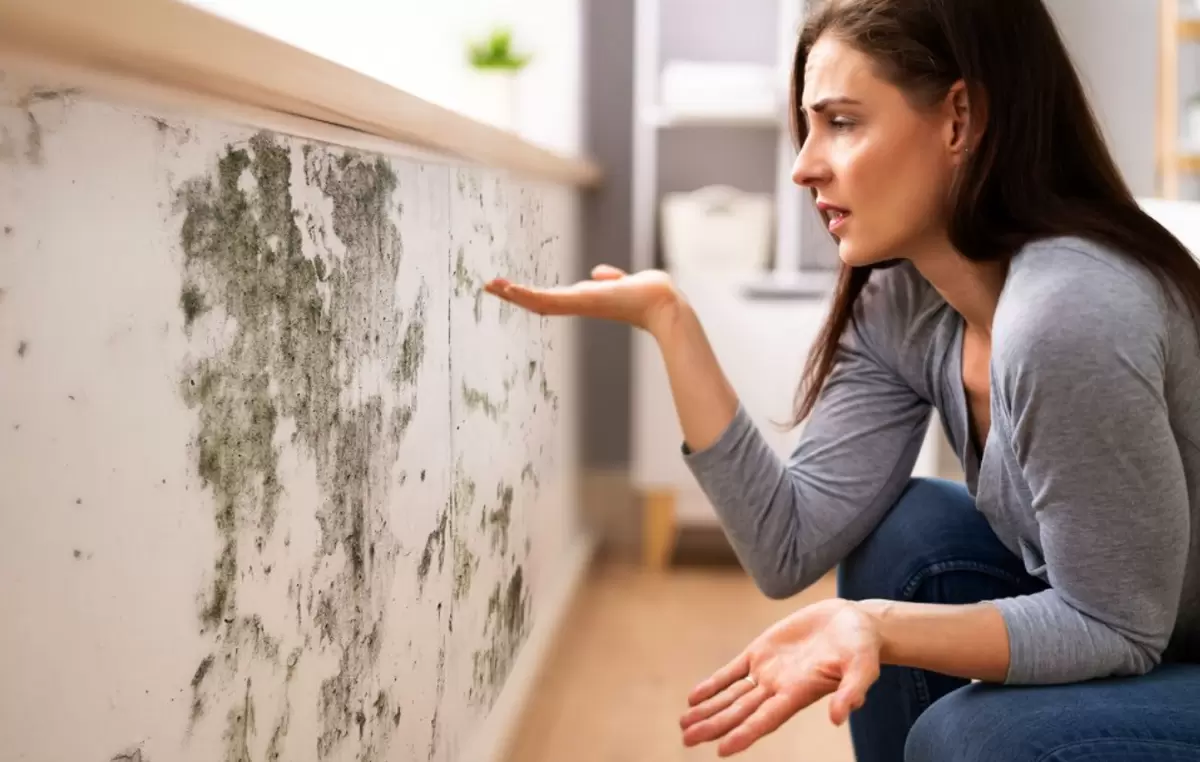 Как справиться с плесенью в доме: простые шаги для эффективной борьбы